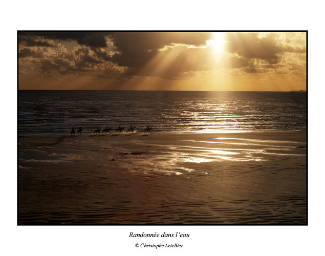 carte postale: allure de chevaux,plage de kairon,manche,normandie.© Août 2001 Christophe Letellier