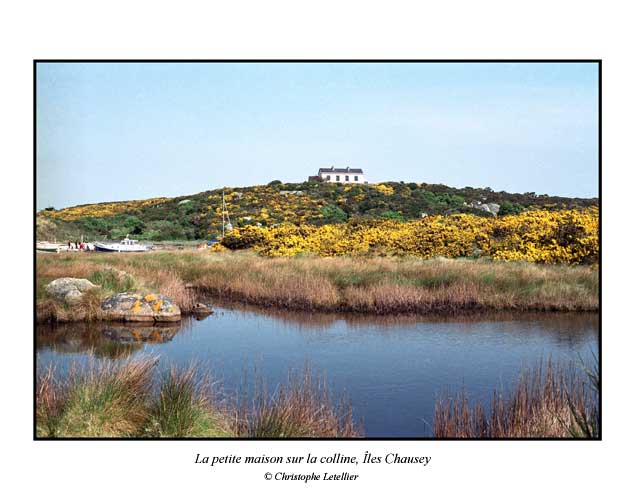 Photo couleur de la galerie "Cartes postales". Petite maison sur une colline des îles Chausey. © Avril 2003 Christophe Letellier, tous droits réservés.