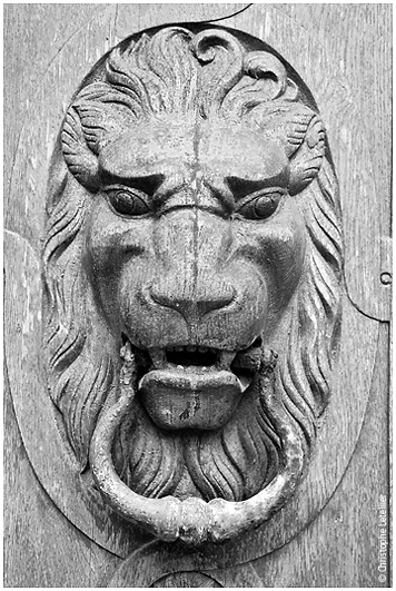 Le roi lion / The lion king