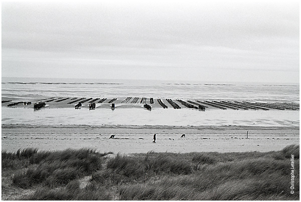 Photo noir et blanc de la galerie " La baie du Mont Saint Michel ". Promenade sur les plages de la Manche en hiver. © Janvier 2002 Christophe Letellier, tous droits réservés. Pour revenir à la galerie, cliquez sur la photo.