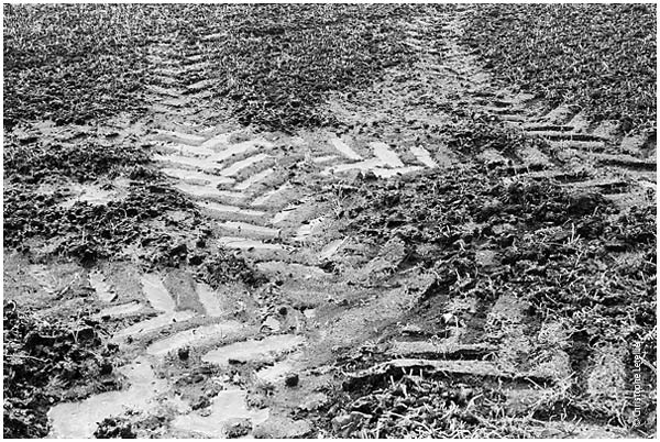 Traces de pneus de tracteur agricole sur le sol gelé d'une plaine de Normandie. © 2002 Christophe Letellier, tous droits réservés. Pour revenir à la galerie, cliquez sur la photo.
