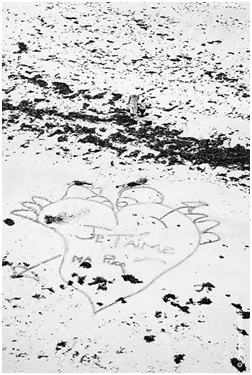 Déclaration d'amour sur le sable de la plage de St Malo. © 2009 Christophe Letellier tous droits réservés. Pour revenir à la galerie, cliquez sur la photo.