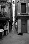 Venise-Gloire et déchéance