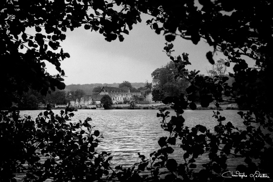 Photo en noir et blanc de l'apparition mysterieuse d'un coeur dans la vegetation du parc de l'abbaye hantée de Mortemer en Normandie. © 2010 Christophe Letellier all rights reserved. 