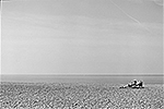 Galerie de photos noir et blanc sur la Normandie