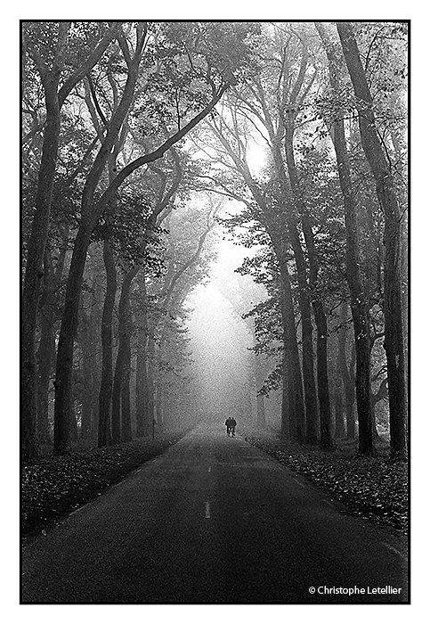 Randonnée de cyclistes dans le brouillard © 2001 Christophe Letellier, tous droits réservés. Pour revenir à la galerie, cliquez sur la photo.