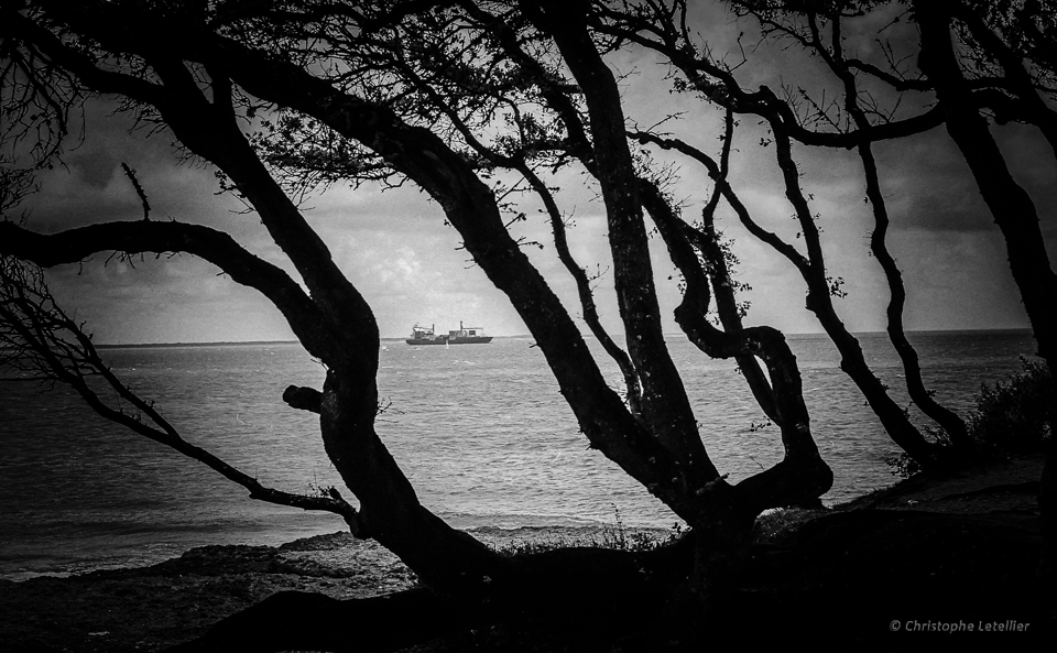 Photo noir et blanc: transport maritime au large de la plage de Saint Palais sur Mer en Charentes Maritimes, France. © 2014 Christophe Letellier all rights reserved. 