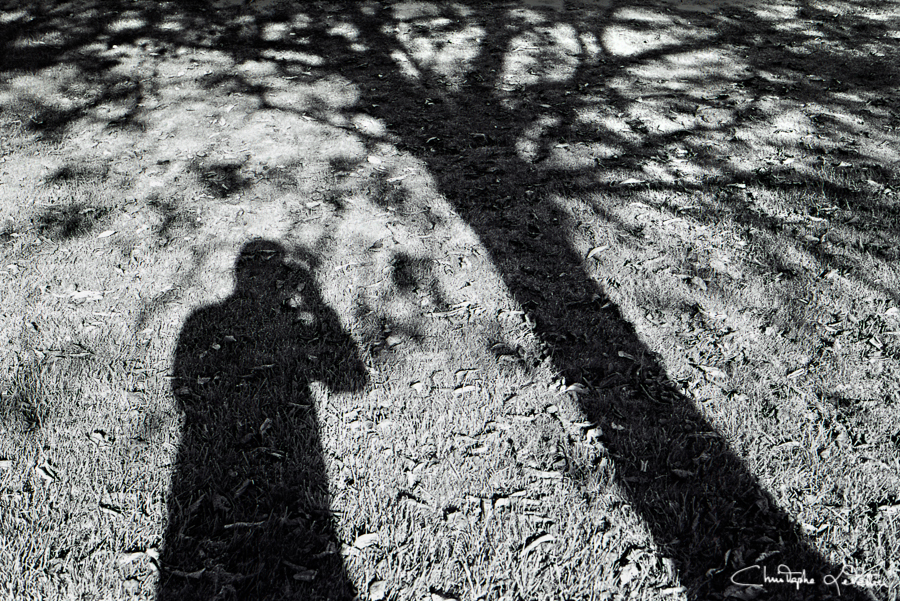 Mon autoportrait en noir et blanc dans l'ombre d'un cerisier © 2016 Christophe Letellier all rights reserved. 