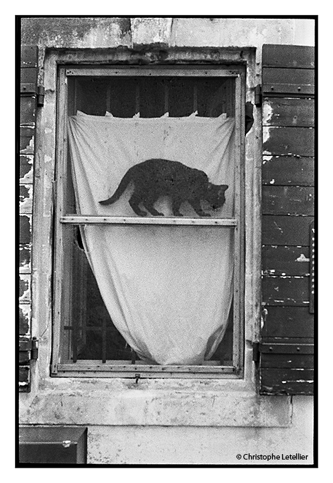 "PETIT CHAT NOIR EN EQUILIBRE".Dans une ruelle d'un quartier populaire d'Arles, un joli chat noir évolue en équilibre sur l'encadrement en bois d'une vieille fenêtre. © juillet 2012 Christophe Letellier tous droits réservés. 