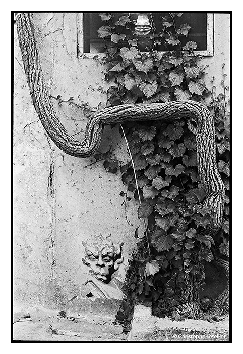 "ST REMY DE PROVENCE". Photo d'un vieux démon au pied d'une batisse de St Remy de Provence, dans les Charmilles, en Provence. © juillet 2012 Christophe Letellier tous droits réservés. 
